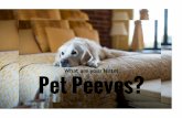 Hotel Pet Peeves