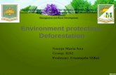 Environment protection: Deforestation