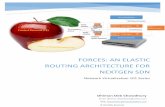 ForCES: An Elastic Routing Architecture for NextGen SDN