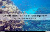 Great Barrier Reef Ecosystem