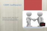 Crm (software)