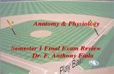 9 2012 anatomy & physiology baseball semester 1 review