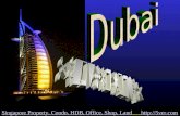 Dubai Property potential investments for 5ver.com