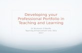 Developing digital teaching portfolio DCU