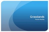 Grasslands review