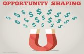 Opportunity Shaping