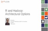 Performance and Scale Options for R with Hadoop: A comparison of potential architectures
