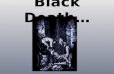 Black Death - A Summary for Kids