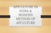 Apiculture in india & modern method of apculture