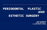 Periodontal plastic and esthetic surgery