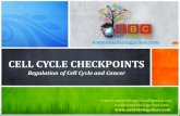 Cell Cycle Checkpoints PPT by Easybiologyclass