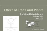 Passive Cooling Effects of Trees and Plants on Buildings