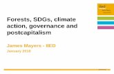 Forests, SDGs, climate action, governance and post-capitalism
