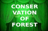Conservation of forest