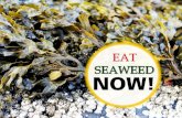 Healthy living: EAT SEAWEED NOW!