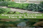 Aquaponic Tips and Tricks Ebook