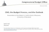 Cbo, the Budget Process, and the Outlook