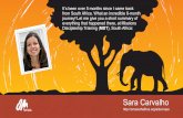 Sara Carvalho — back to Africa