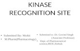 Kinase recognition site