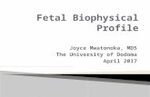 Fetal biophysical profile