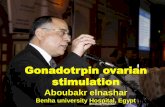 Gonadotrpin ovarian stimulation