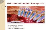 G- Protein Coupled Receptors