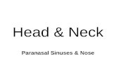 Diagnostic Imaging of Paranasal sinuses and Nose