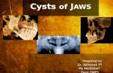 CYSTS OF THE JAWS Part II