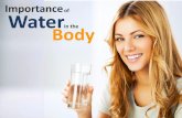 Importance of Water in the Body