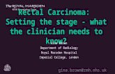 Rectal Carcinoma: setting the stage what the clinician needs to know