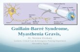 Peripheral Neuropathies (Guillian Barre & Myasthenia Gravis)