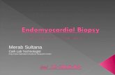 Endomyocardial Biopsy