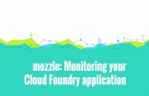 mozzle - Infrastructure metrics for Cloud Foundry applications