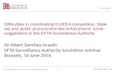 Some suggestions to the EFTA Surveillance Authority