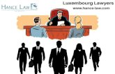 Experience and Expert Luxembourg lawyers