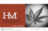 Marijuana legalization – The Legal Ins and Outs For Cannabis Business Clients
