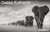 Chasing elephants