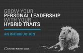 Grow Your Personal Leadership with Your Hybrid Traits