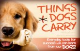 Things Dogs Carry #THINGSICARRY