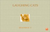 Laughing cats