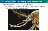 1.3 Scientific Thinking and Processes KEY CONCEPT Scientific Method Science is a way of thinking, questioning, and gathering evidence.