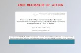 EMDR MECHANISM OF ACTION