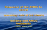 Didier Swingedouw CERFACS, Toulouse, France Response of the AMOC to global warming: role of ice sheets melting and AMOC feedbacks.