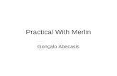 Practical With Merlin Gonçalo Abecasis. MERLIN Website   Reference FAQ Source.