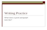 Writing Practice What does a good paragraph look like?
