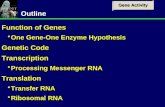 Gene Activity 1Outline Function of Genes  One Gene-One Enzyme Hypothesis Genetic Code Transcription  Processing Messenger RNA Translation  Transfer.