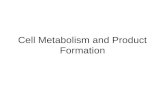 Cell Metabolism and Product Formation. Metabolic pathways catabolismanabolism proteins, carbohydrates lipids, nucleic acids glucose CO 2, H 2 O, energy.