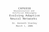 CAP6938 Neuroevolution and Artificial Embryogeny Evolving Adaptive Neural Networks Dr. Kenneth Stanley March 1, 2006.