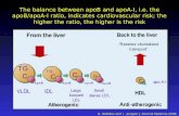The balance between apoB and apoA-I, i.e. the apoB/apoA-I ratio, indicates cardiovascular risk; the higher the ratio, the higher is the risk G. Walldius.