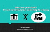 What are your skills? On the transition from university to industry Stefania Giodini Scientist Innovator, TNO (NL) Stefania Giodini Scientist Innovator,